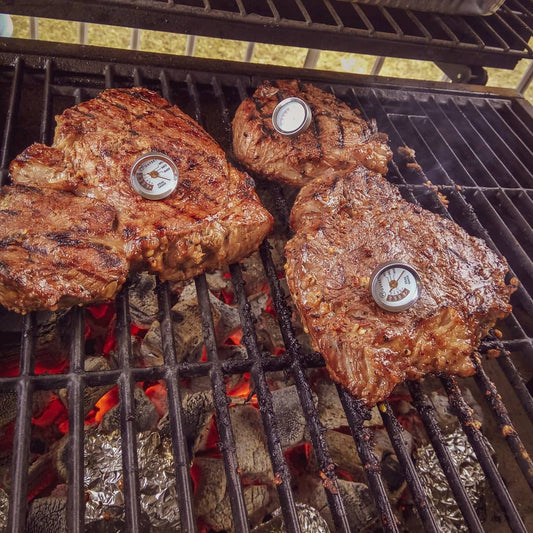Steak Thermometer (4-Pack)